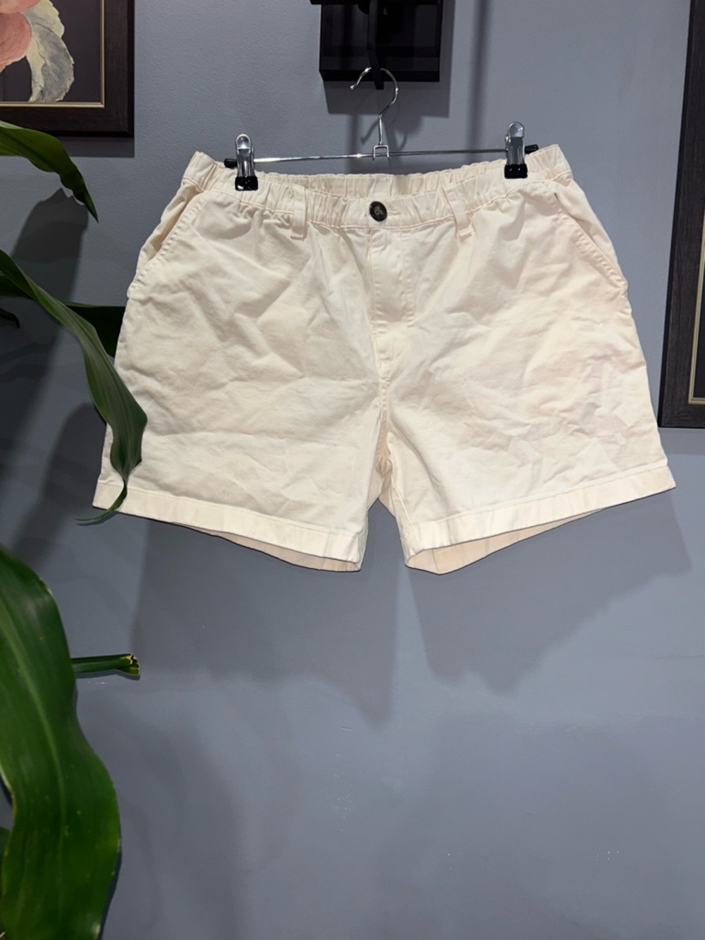 Chubbies Men's Casual Cream Shorts 5.5 Inseam sz Large